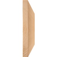 225x25mm PSE - The main applications of this product are for interior joinery purposes, where a smooth finish is required.
NOTE: Item Sold Per metre if you require a specific length, please contact the branch. Item is supplied in random lengths between 2.1 metre to 5.1 metres.
