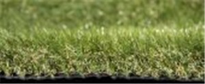 Whitby artificial grass has been designed with budget in mind and has quickly become one of our top sellers with its great likeness to real turf at an affordable price. Its generous 32mm Pile Height gives you the luxury underfoot whilst offering durability for year-round use. Whitby, like all our artificial grass, is animal and child-friendly too