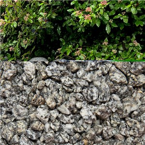 Dapple Grey is a premium washed angular silver-grey granite with black flecks and flashes of sparkle.
Available in a 20mm size and suitable for all applications, being a hard-wearing and fish-friendly material.